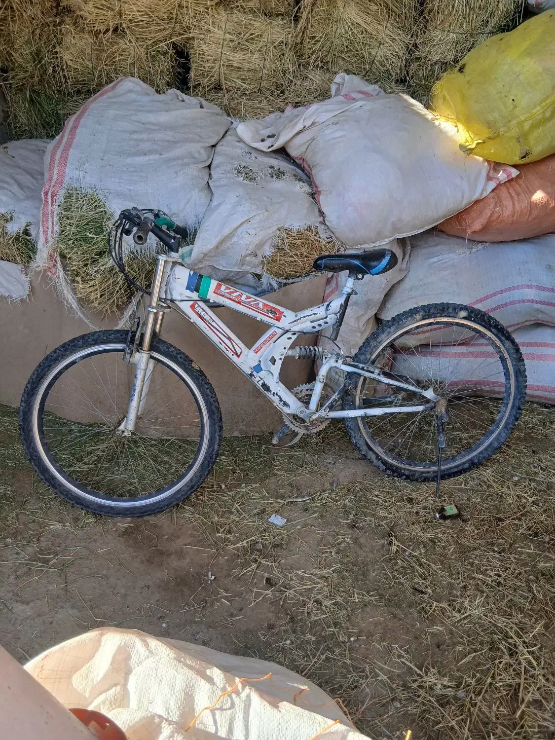 دوچرخه ۲۶|دوچرخه، اسکیت، اسکوتر|کوهدشت, |دیوار