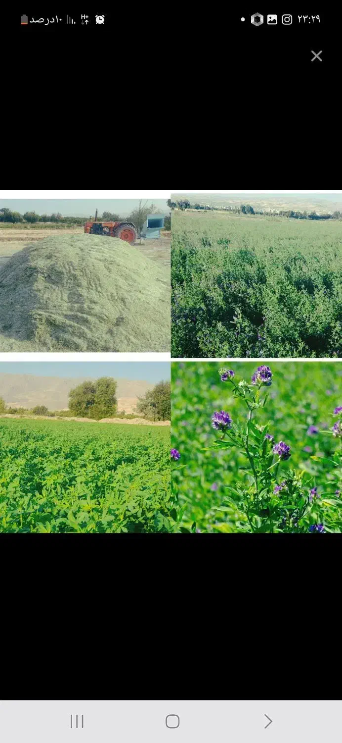 یونجه پرس|لوازم جانبی حیوانات|اهواز, اهواز|دیوار