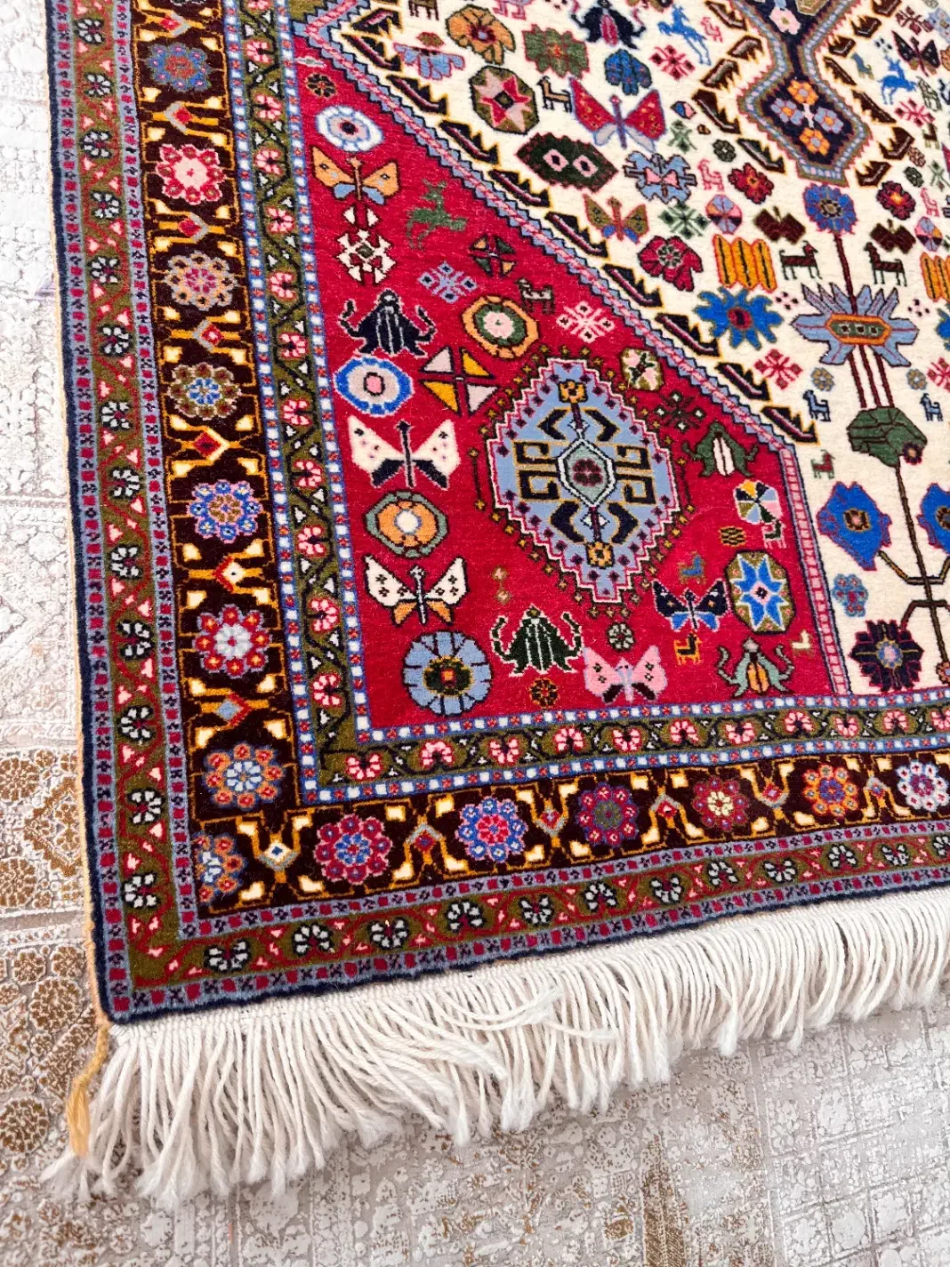 قالیچه کشکولی مرینوس درجه ۱|فرش|شیراز, شهرک ولیعصر|دیوار