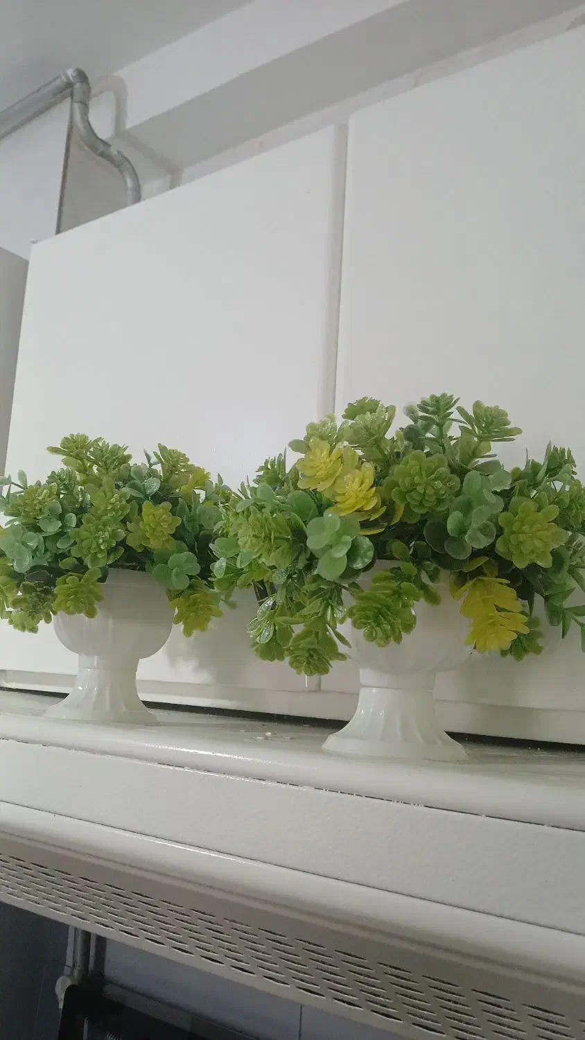 گل  مصنوعی|گل مصنوعی|میانه, |دیوار