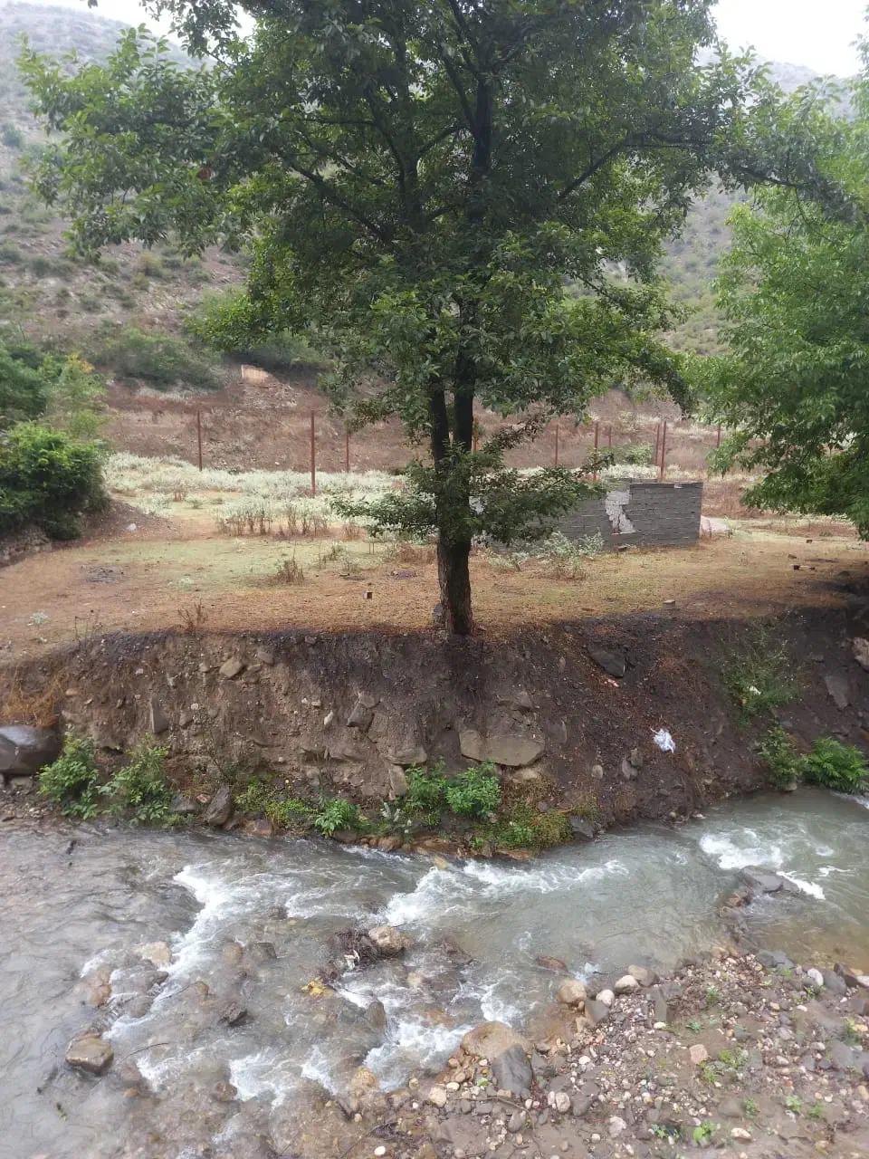 فروش زمین با مجوز مرغداری گوشتی|فروش دفتر صنعتی، کشاورزی، تجاری|آلاشت, |دیوار