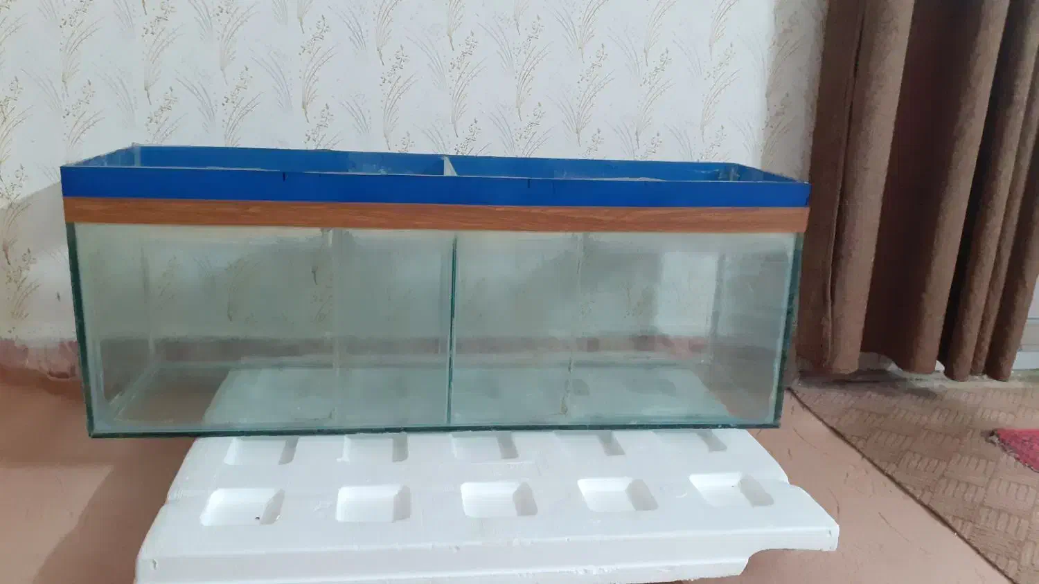 اکواریوم یک متری تر تمیز|ماهی|گرگان, |دیوار