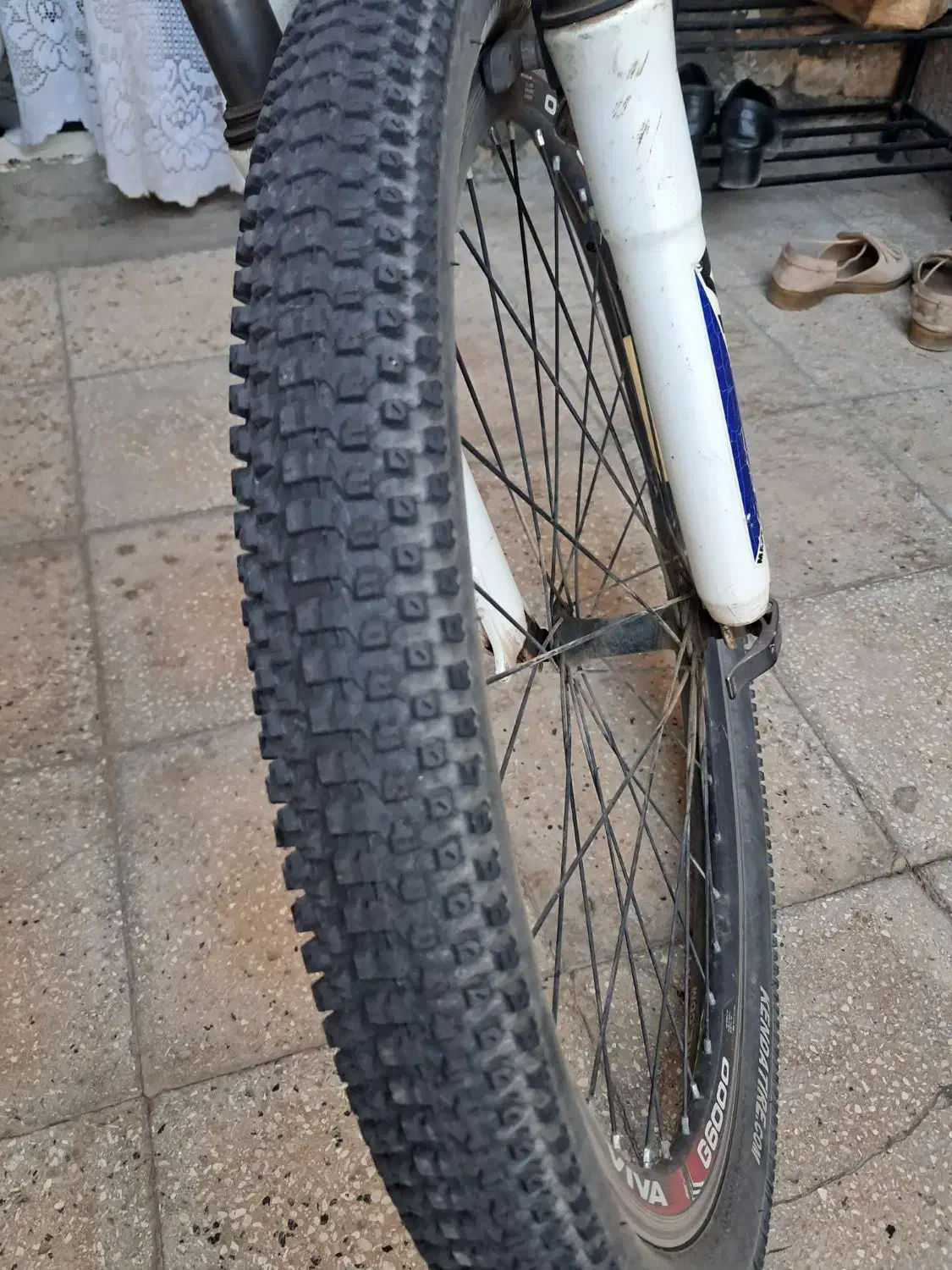 دو چرخه ویوا ۲۴ دنده سایز ۲۶ سالم|دوچرخه، اسکیت، اسکوتر|تربت جام, شهرک معلم|دیوار