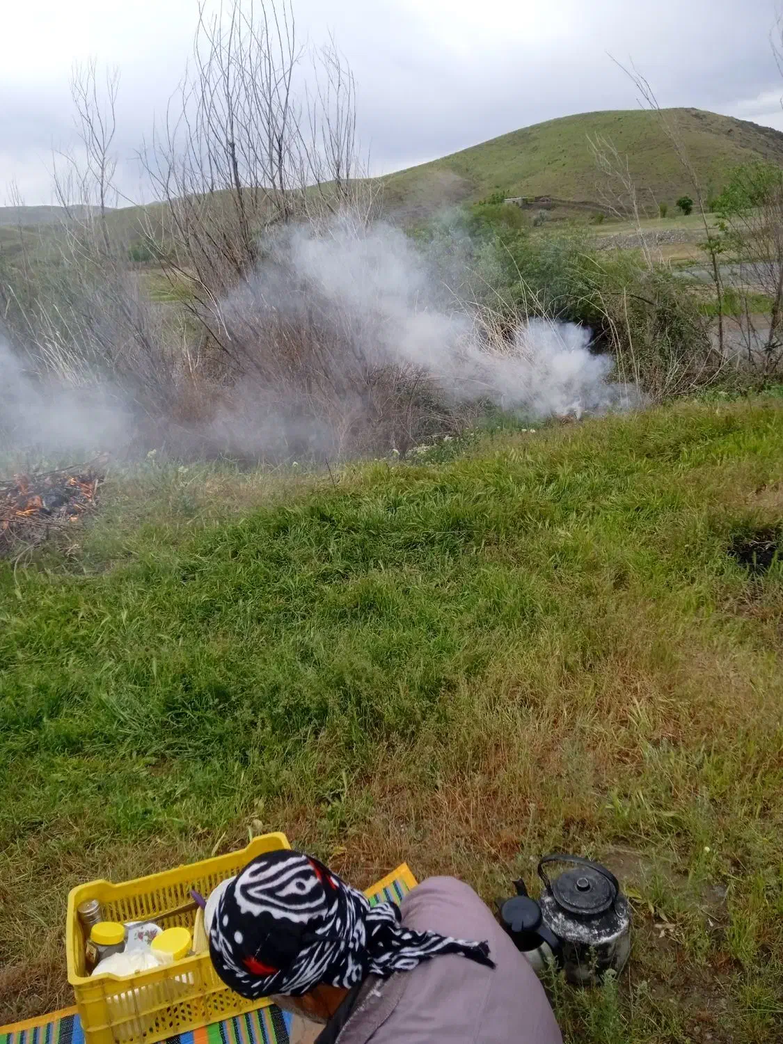 فروش زمین آبی کشاورزی|فروش دفتر صنعتی، کشاورزی، تجاری|امام, |دیوار