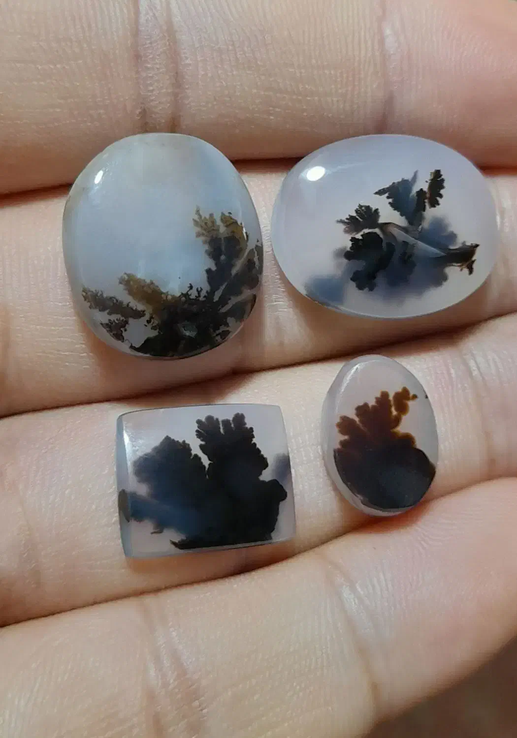 کلکسیون نگین شجرمصور معاوضه با انگشتر اوپال زبرجد|کلکسیون اشیاء عتیقه|زنجان, |دیوار