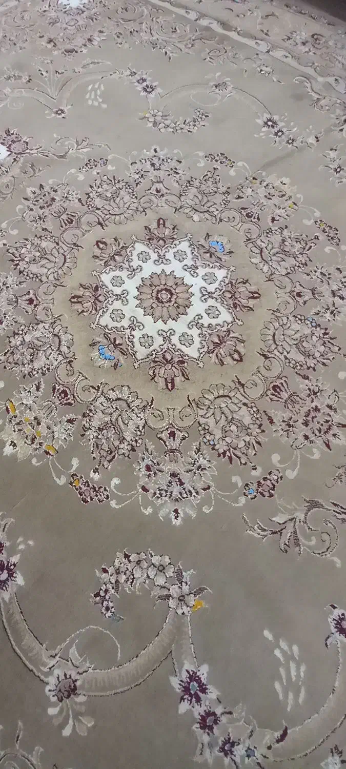 فرش ۱۲ متری سالم|فرش|سرخنکلاته, |دیوار