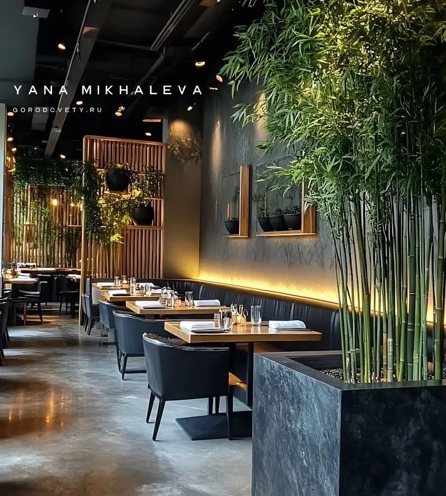 کار در رستوران با جای خواب|استخدام خدمات فروشگاه و رستوران|گرگان, |دیوار