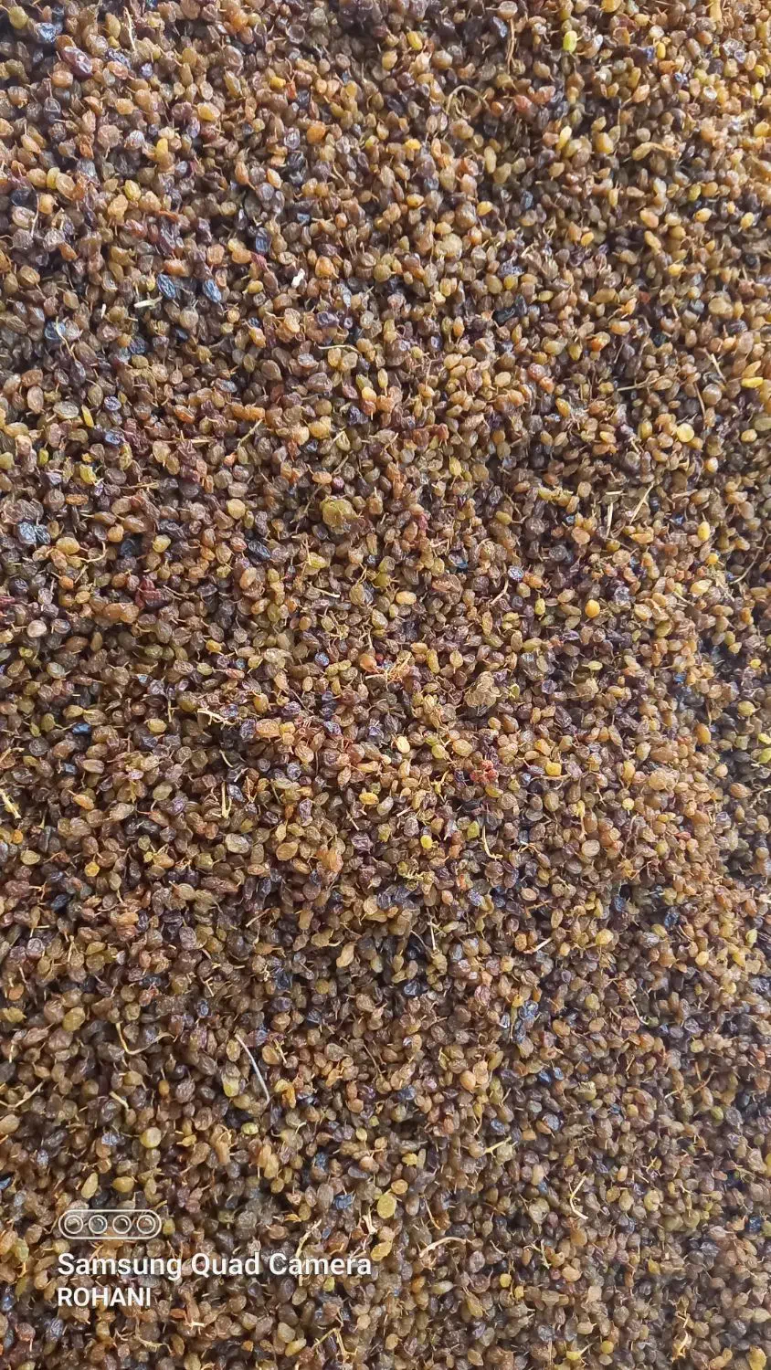 کشمش پلویی|خوردنی و آشامیدنی|چناران, |دیوار