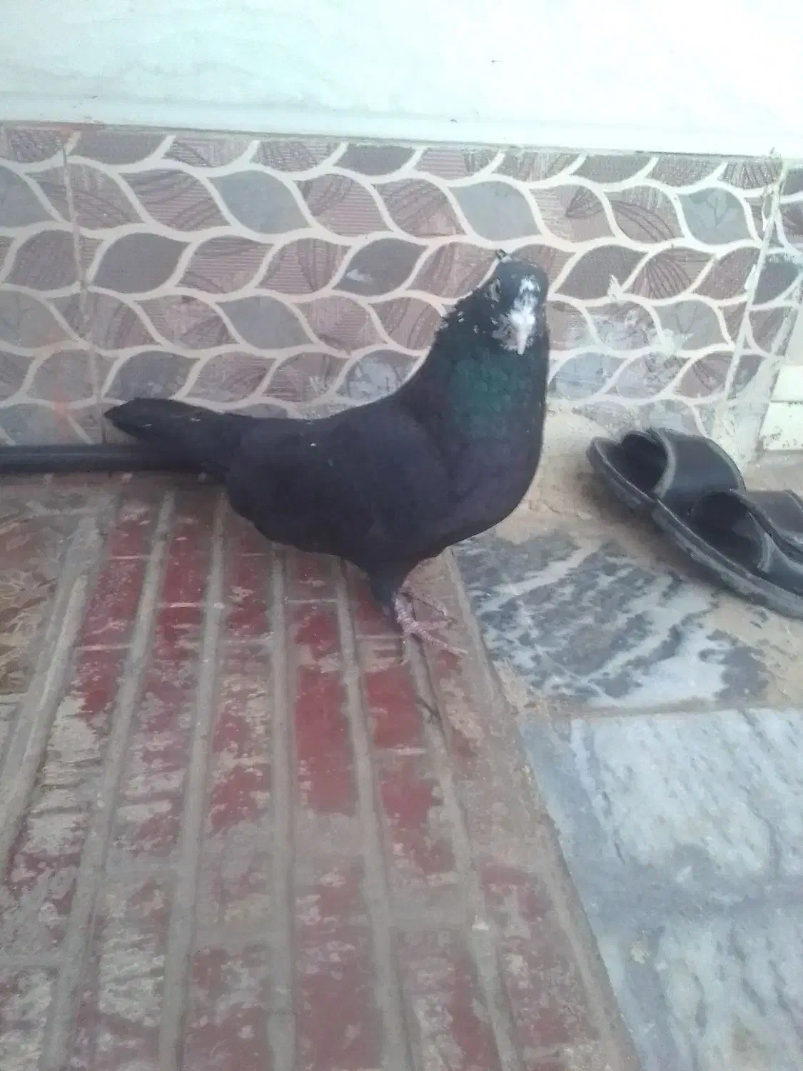 دستی|ساعت|خرمآباد, |دیوار