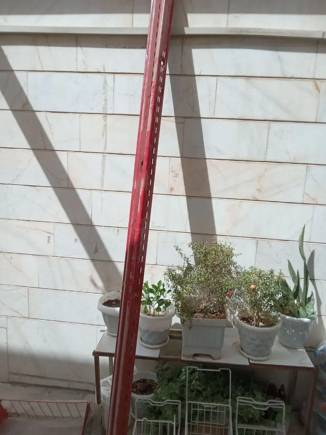 وسایل سوپر مارکت|فروشگاه و مغازه|قرچک, محمد آباد|دیوار