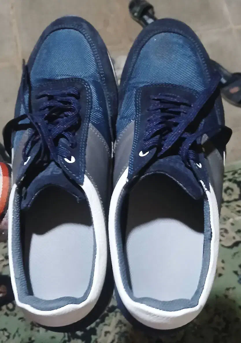 کتونی|کیف، کفش، کمربند|نورآباد, |دیوار