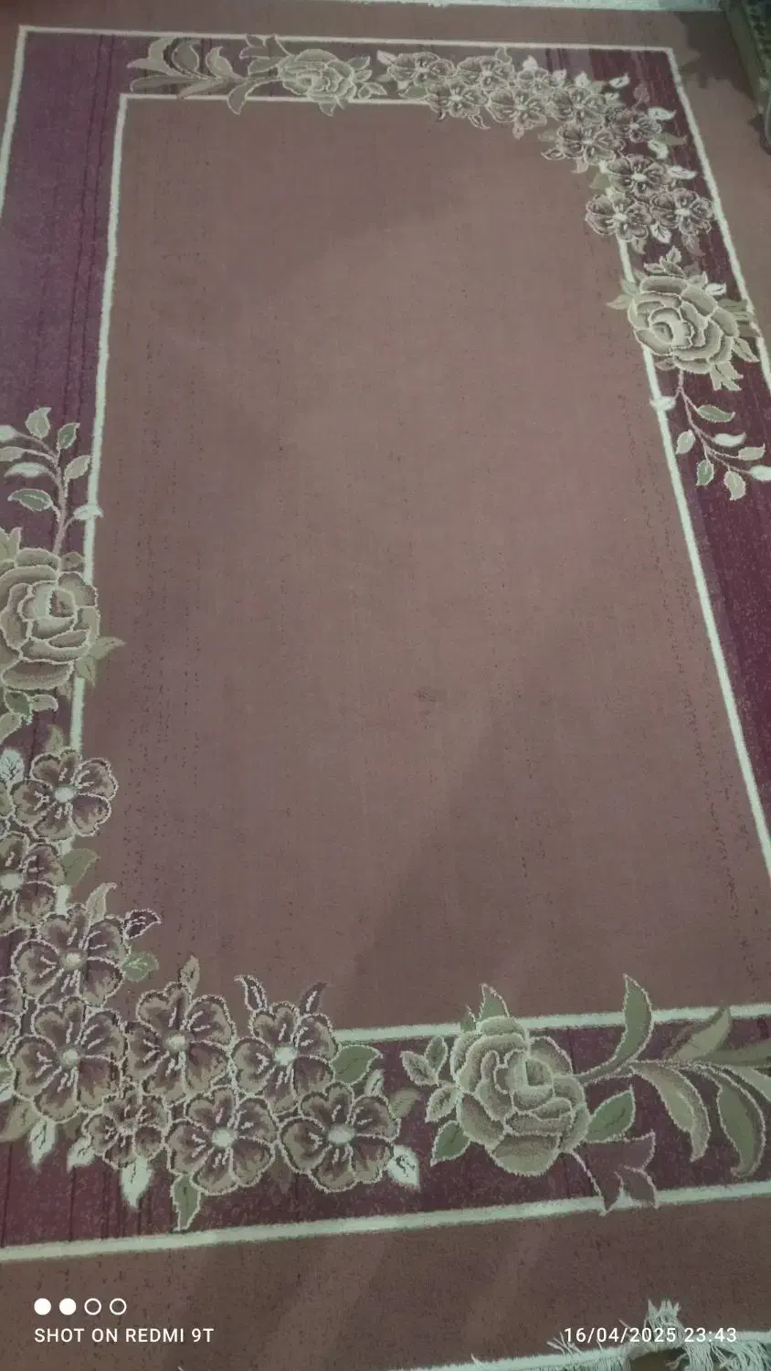 دو عدد فرش شش متری|فرش|گنبد کاووس, |دیوار