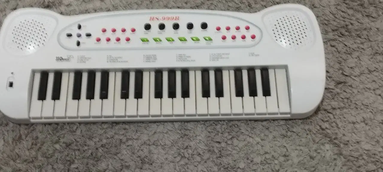 ارگ|اسباب‌‌بازی|رشت, گلسار|دیوار