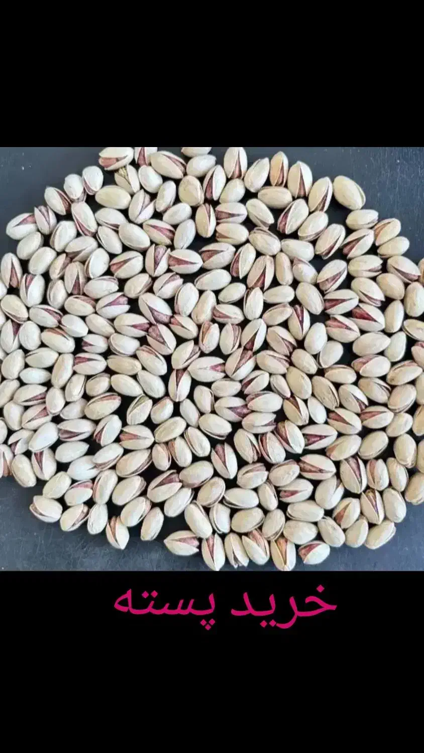 خرید پسته|خوردنی و آشامیدنی|تربت جام, میان جام|دیوار