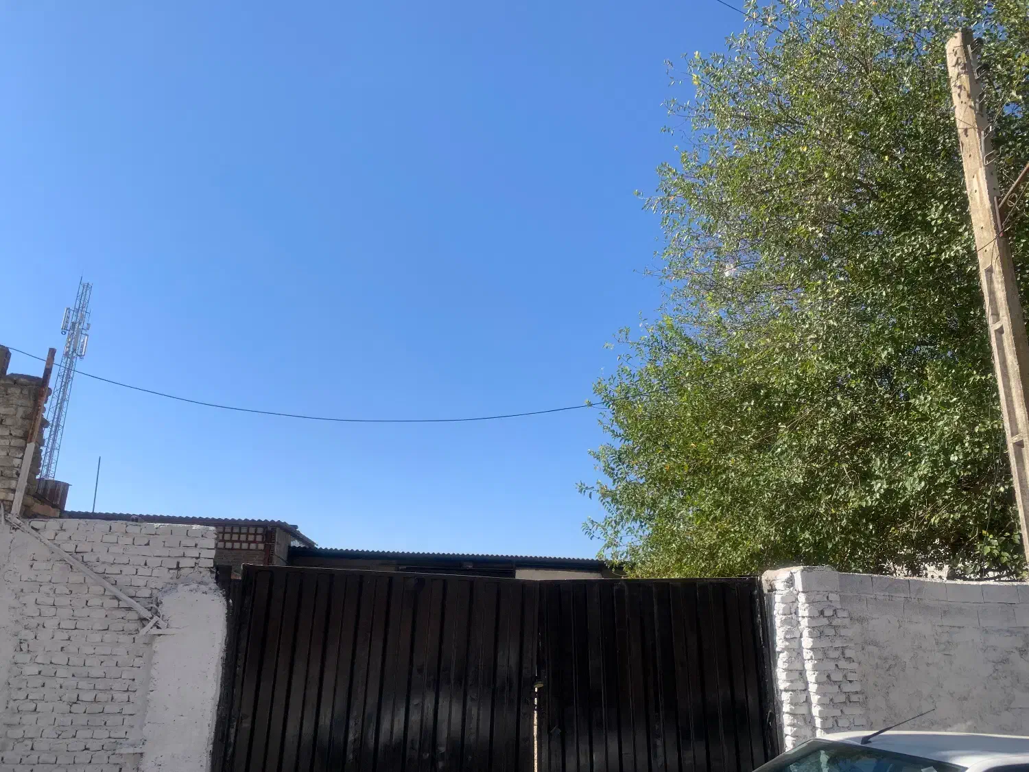 اجاره انبار|اجارهٔ دفتر صنعتی، کشاورزی، تجاری|ساری, |دیوار