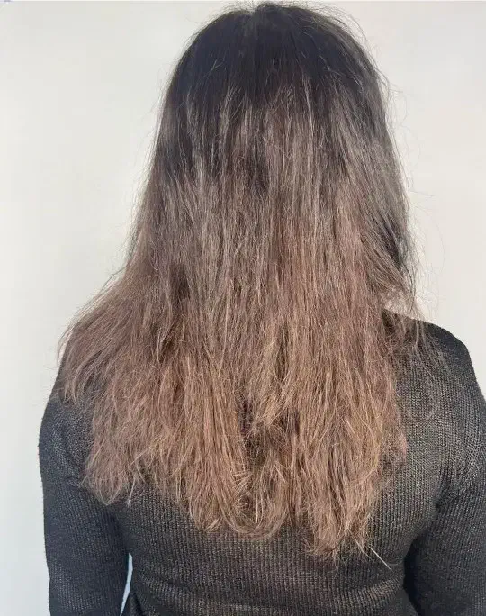 پروتئین از 800|آرایشی، بهداشتی، درمانی|فسا, |دیوار