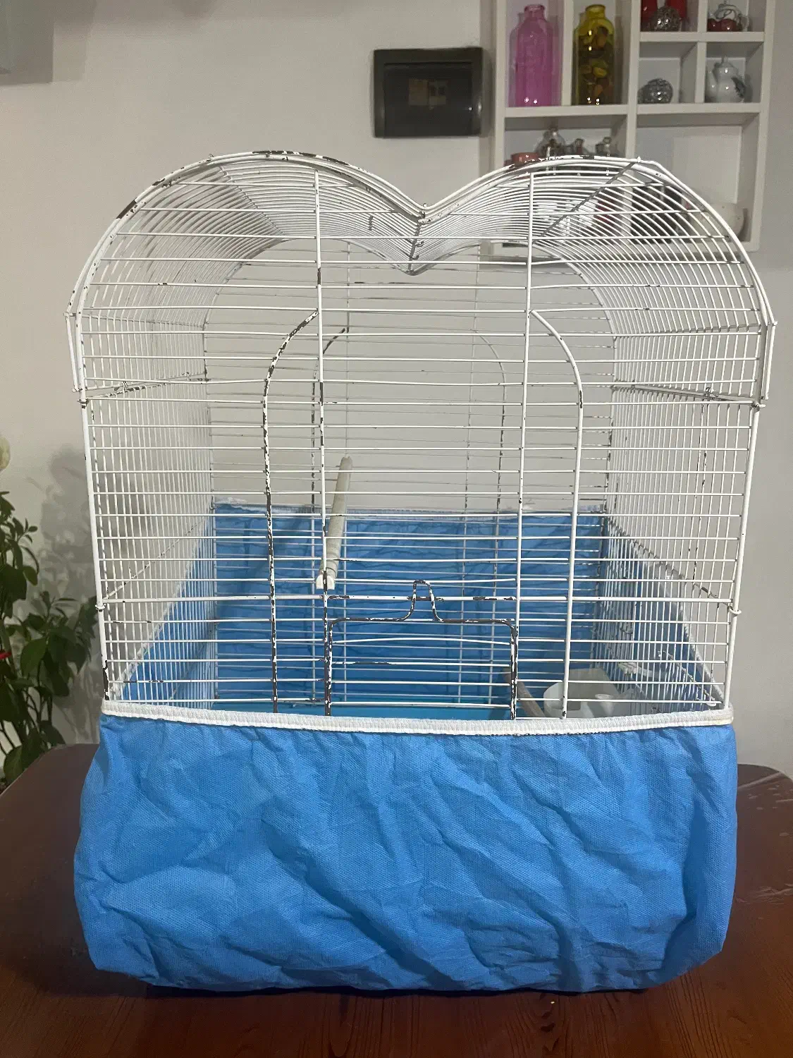 قفس پرنده|لوازم جانبی حیوانات|رشت, باهنر|دیوار