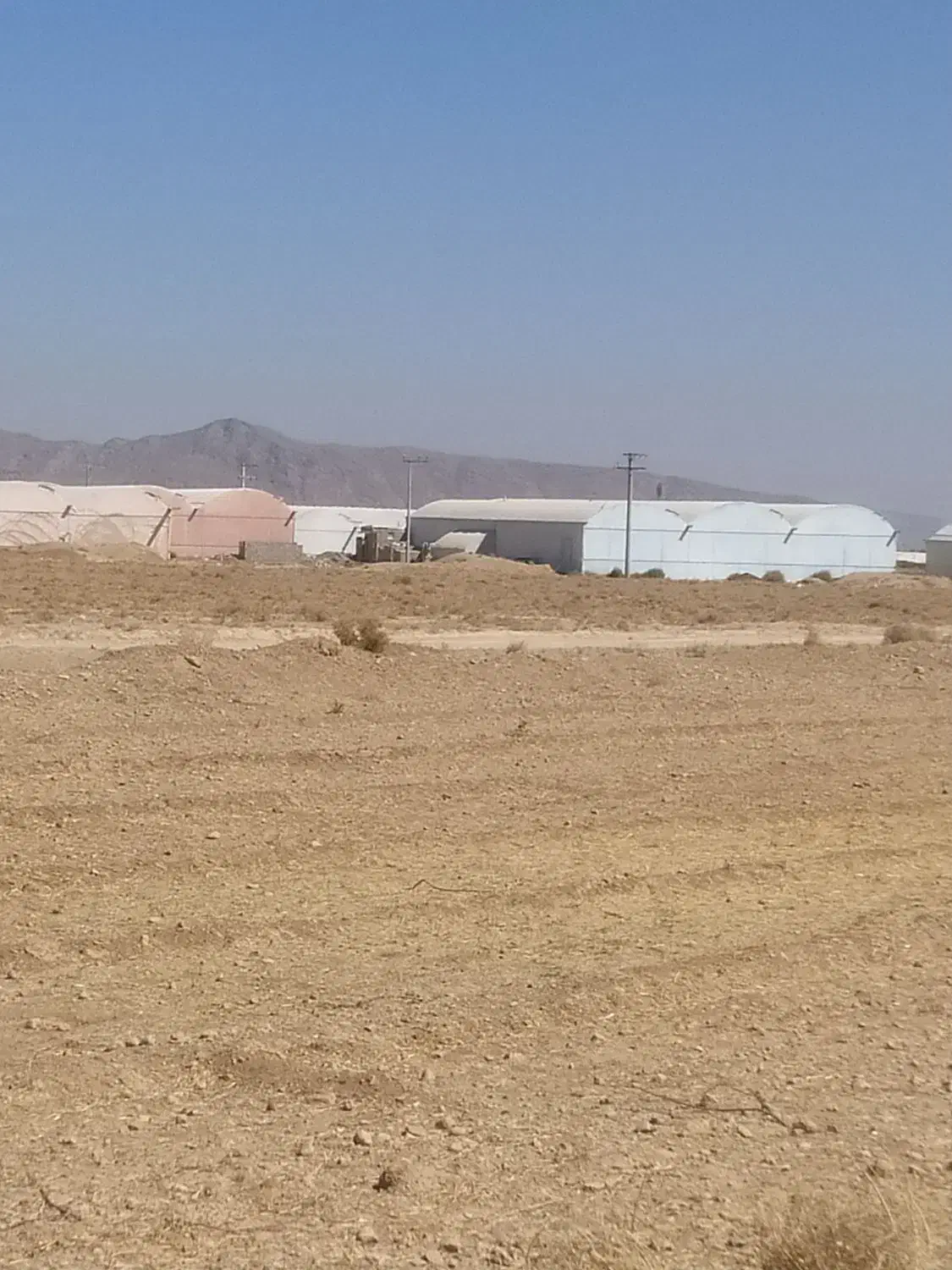 دوازده جریب زمین کشاورزی با شش جریب مجوز گلخانه|فروش زمین و ملک کلنگی|عسگران, |دیوار