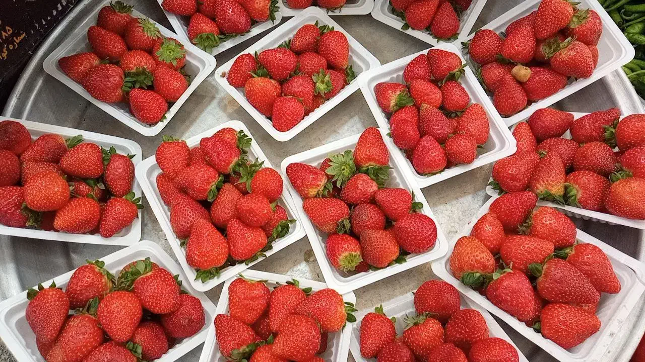 استخدام شبکار اقا میوه فروشی حقوق بالا|استخدام خدمات فروشگاه و رستوران|ایذه, |دیوار