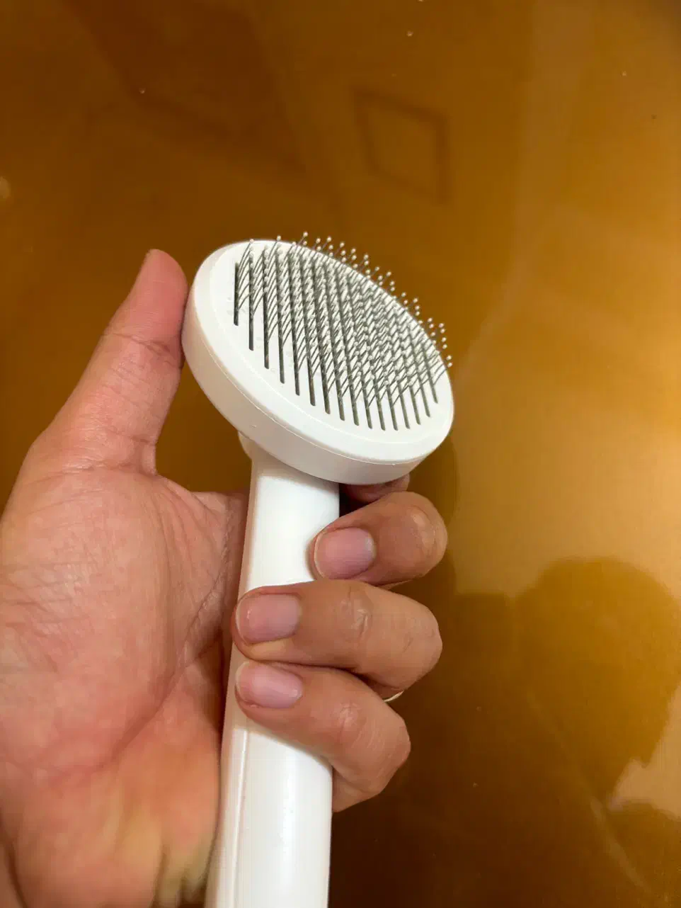 برس موی گربه|لوازم جانبی حیوانات|قزوین, |دیوار