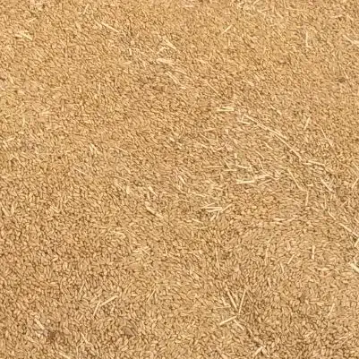 گندم دیم رقم باران(بوجاری نشده) کیلو ۲۴هزارتومان|خدمات باغبانی و درختکاری|اراک, |دیوار