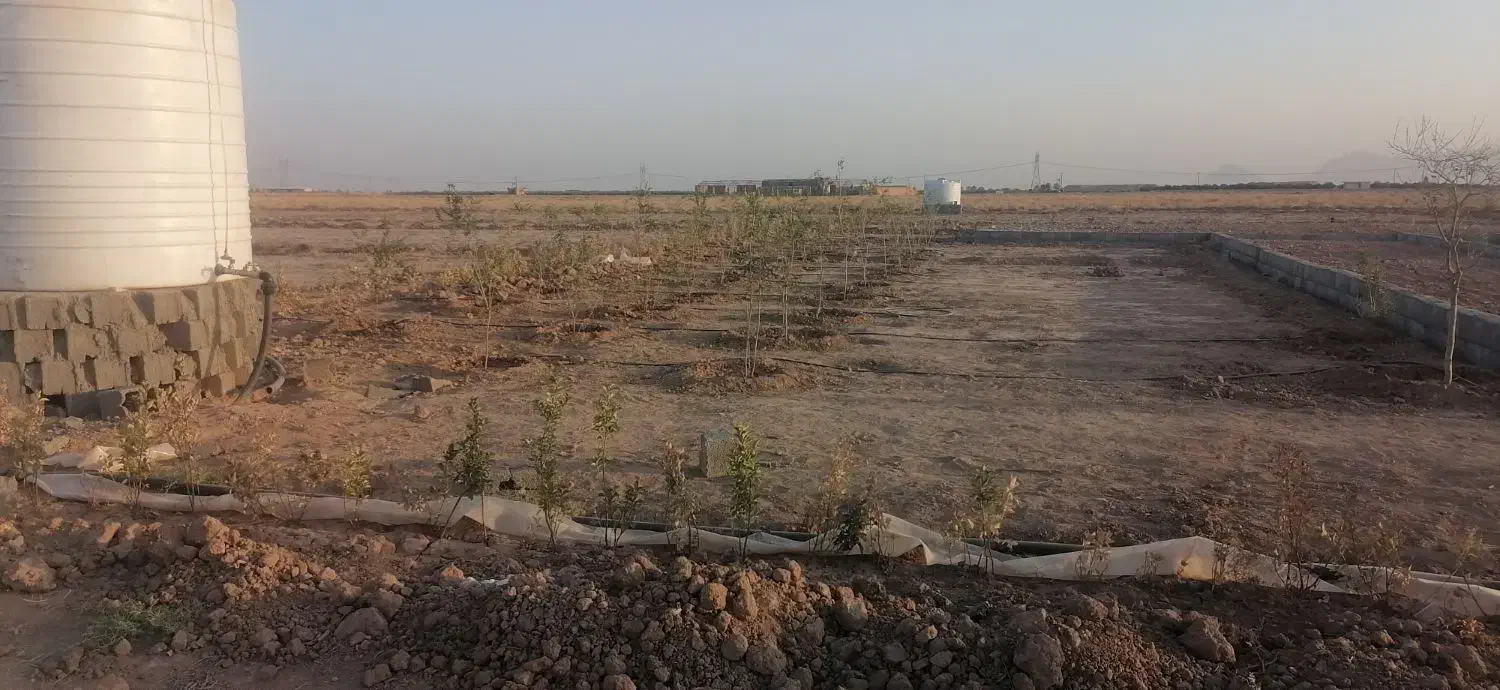 باغ زمین گرگاب فاز 3 سند تک برگ 36 ماهه|فروش زمین و ملک کلنگی|شاهینشهر, گرگاب|دیوار
