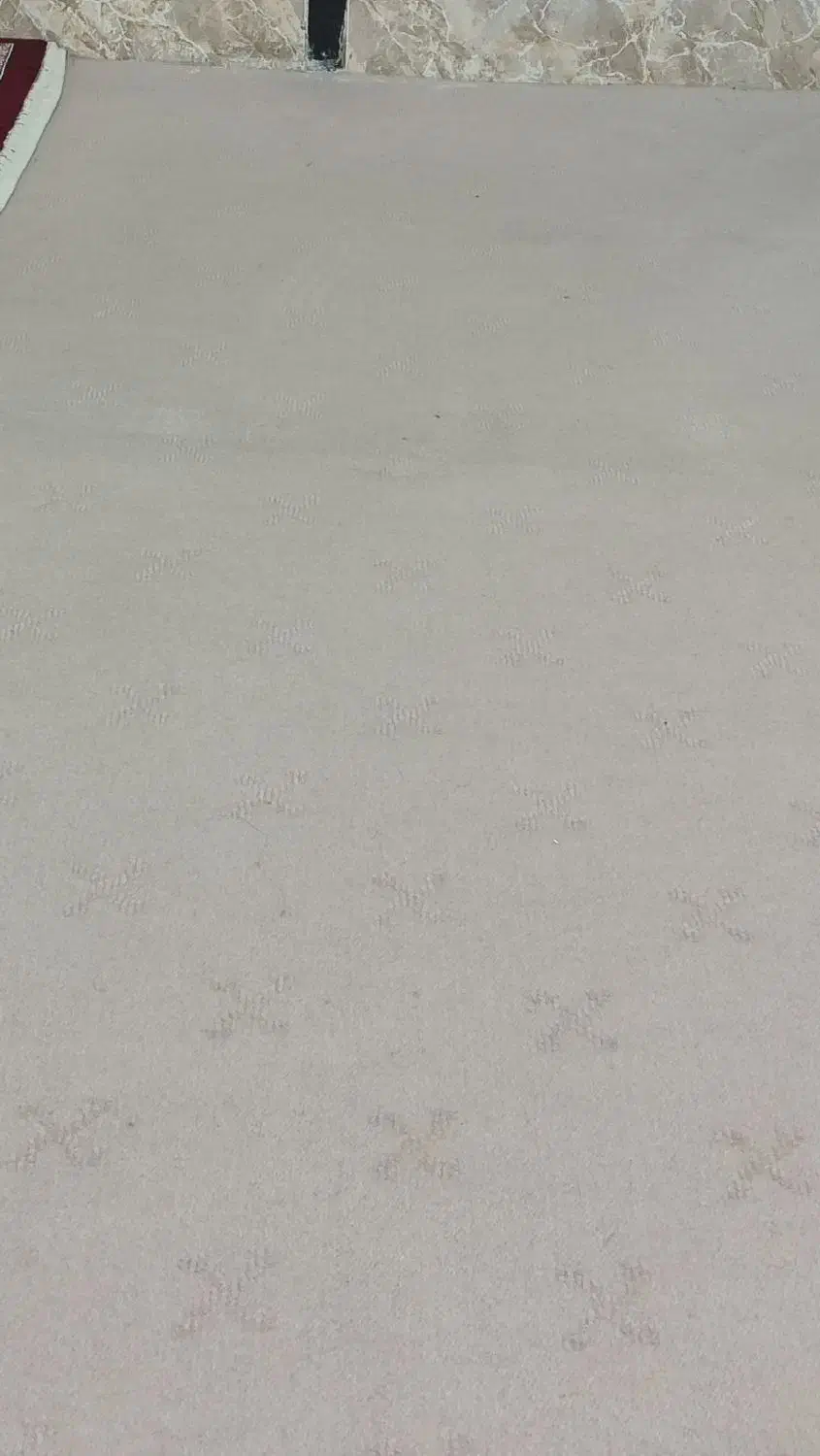 موکت ۱۲متری کرمی|موکت|دورود, |دیوار