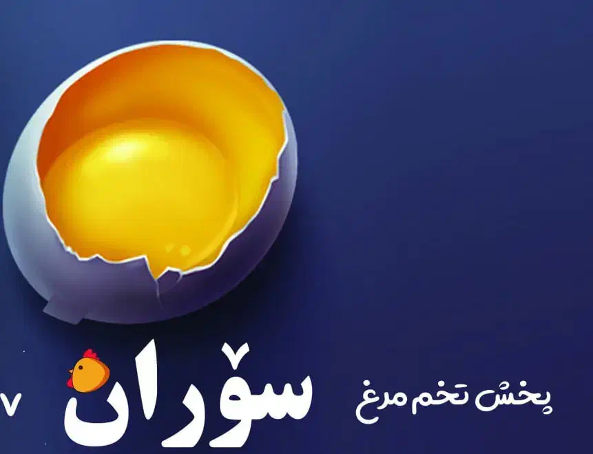 پخش تخم مرغ|خوردنی و آشامیدنی|مریوان, |دیوار