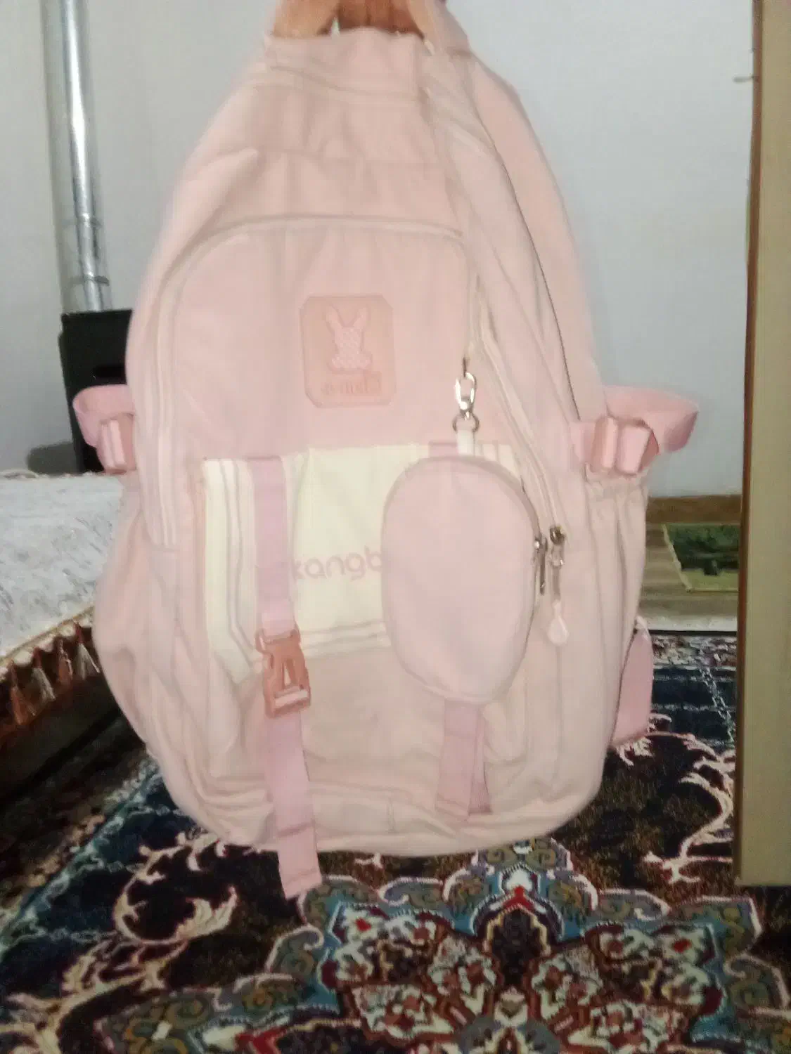 کیف مدرسه|کیف، کفش، کمربند|رشت, فخب|دیوار