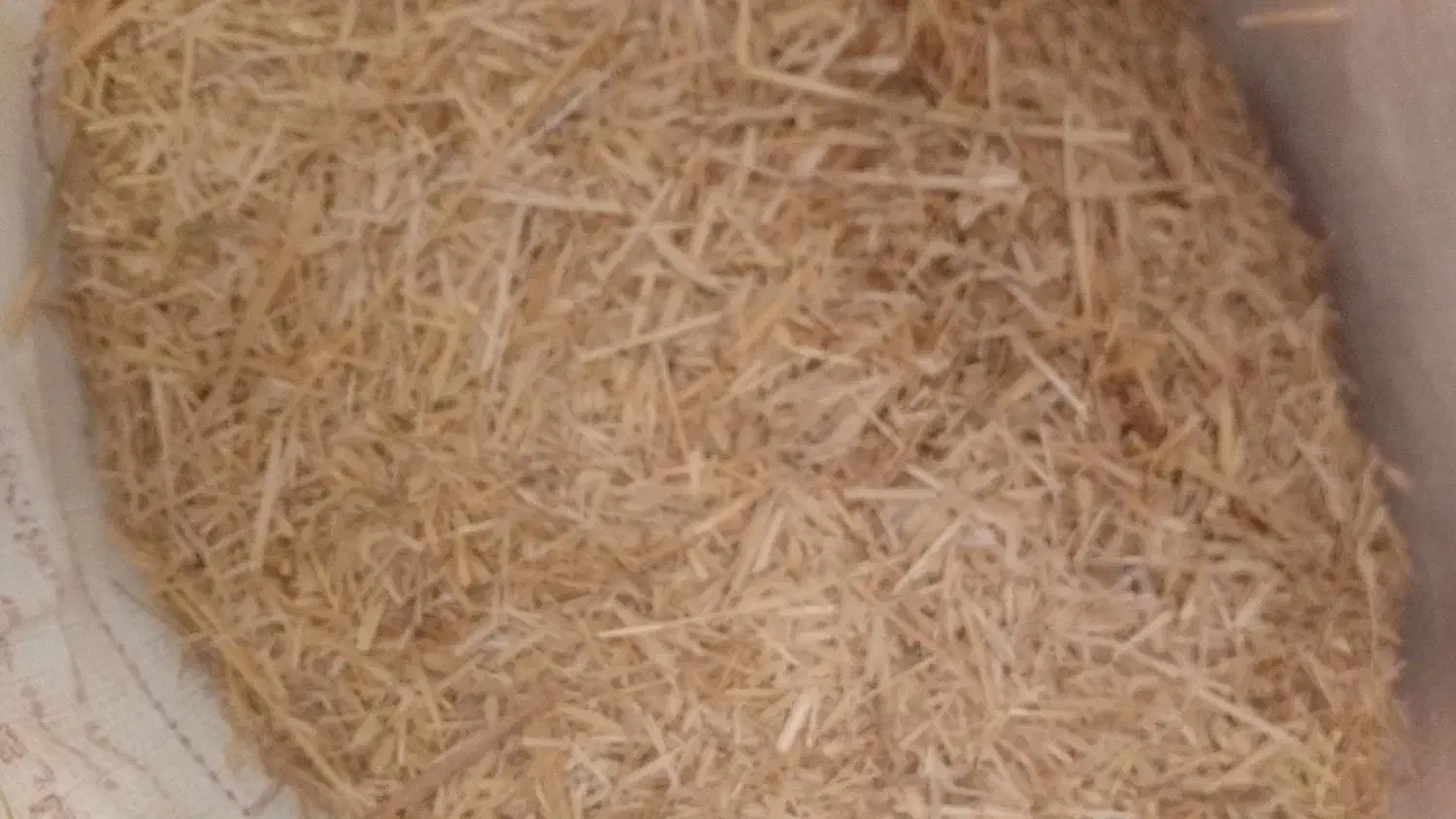 فروشی|لوازم جانبی حیوانات|رامشیر, |دیوار