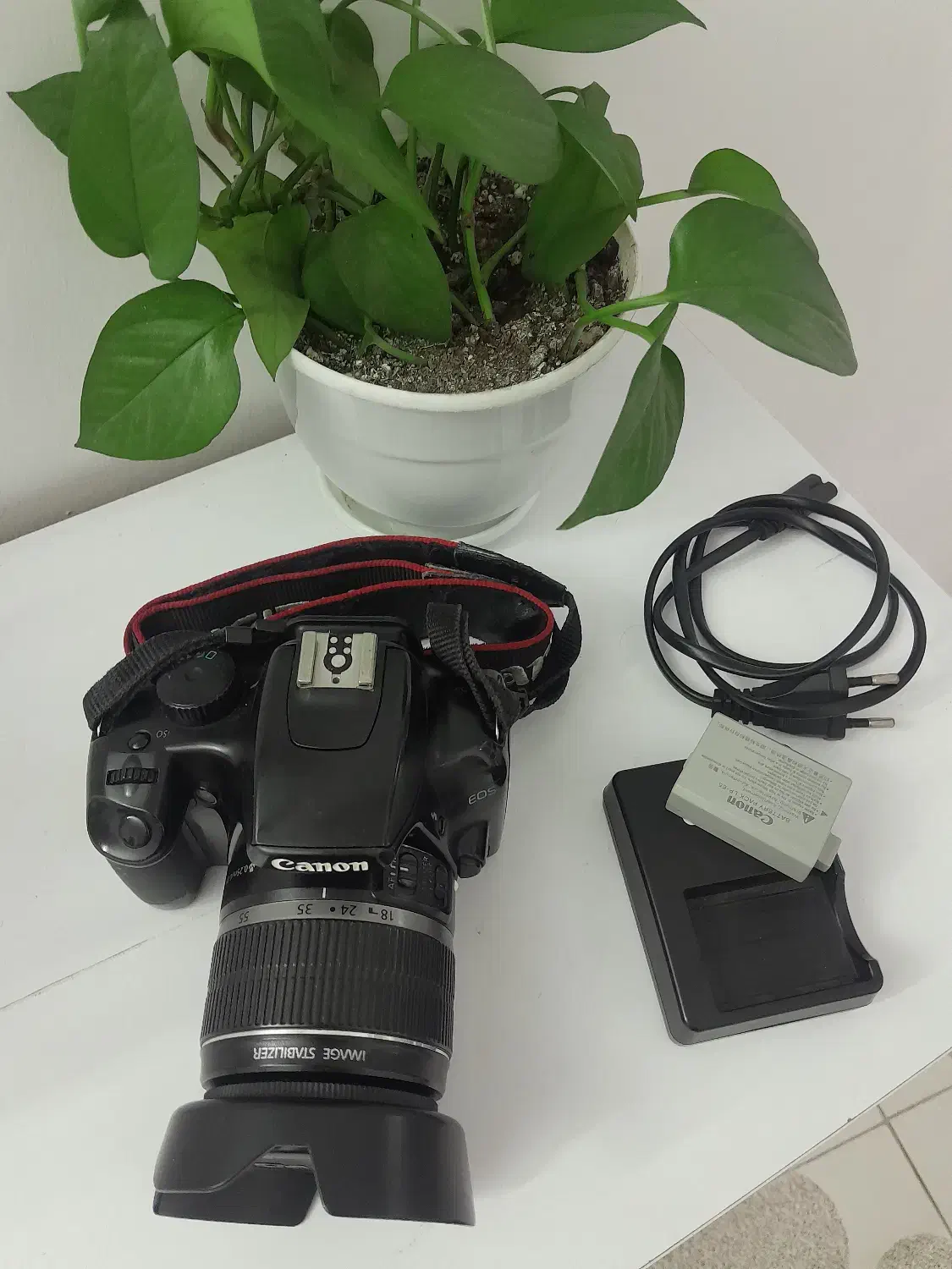 دوربین عکاسی ۱۰۰۰d|دوربین عکاسی و فیلم‌برداری|رشت, فلسطین|دیوار