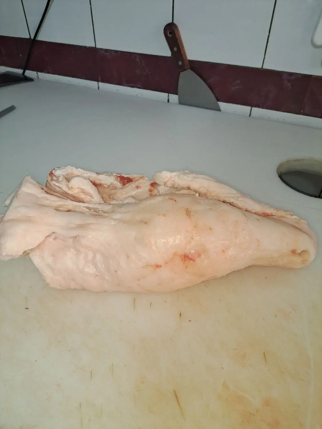 دمبه بره گرم شله بره بره پاک شده|خوردنی و آشامیدنی|شیراز, شهرک فرهنگیان|دیوار