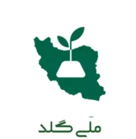 100 سوت طلا رایگان|کارت هدیه و تخفیف|زواره, |دیوار