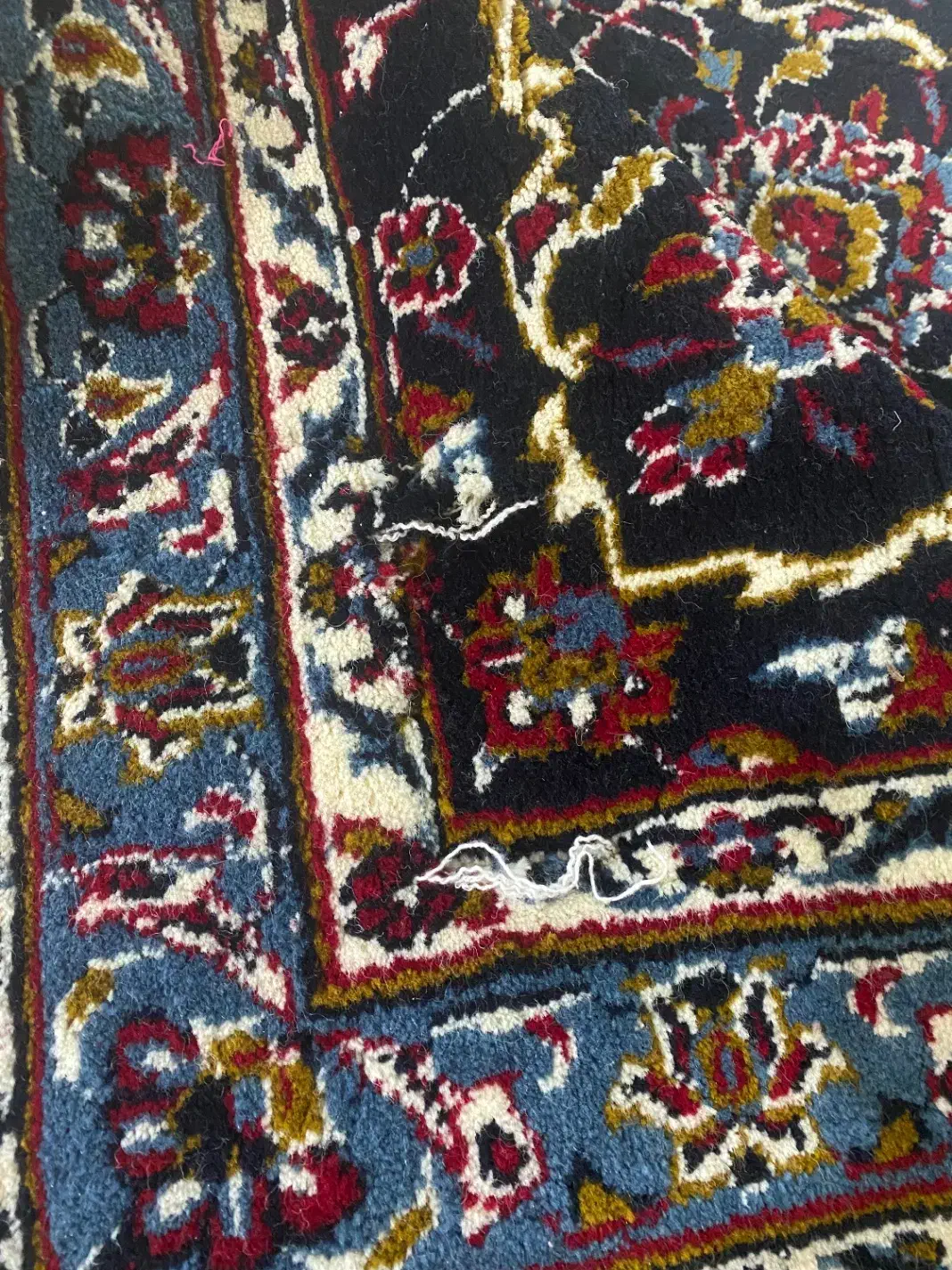 فرش مشاهیر کویر|فرش|گرگان, |دیوار