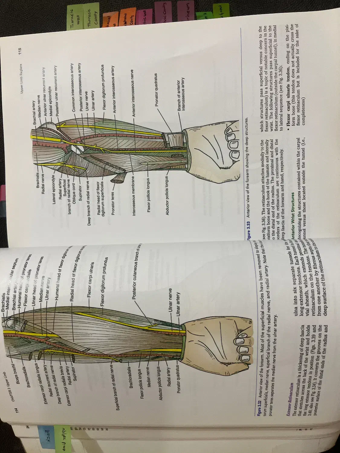 آناتومی اسنل پزشکی ویرایش ۱۰|کتاب و مجله آموزشی|رشت, منظریه|دیوار