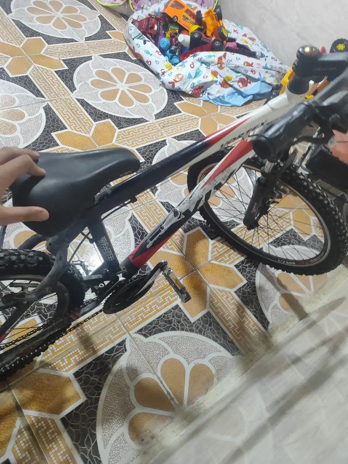 دوچرخه ویوا|دوچرخه، اسکیت، اسکوتر|خورموج, |دیوار