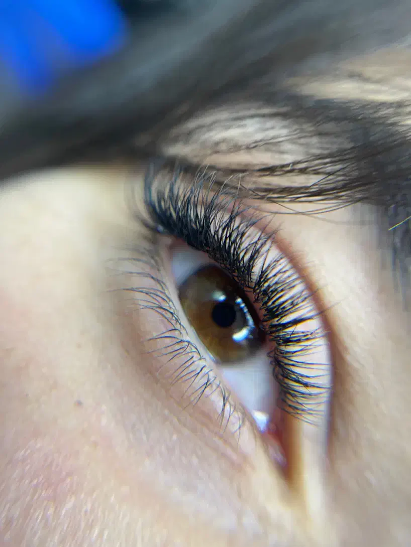 مدل اکستنشن مژه برای تکمیل البوم|خدمات آرایشگری و زیبایی|جویبار, |دیوار