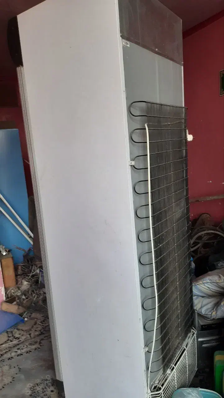 یخچال ایستاده  ویترینی مغازه|فروشگاه و مغازه|گرگان, |دیوار