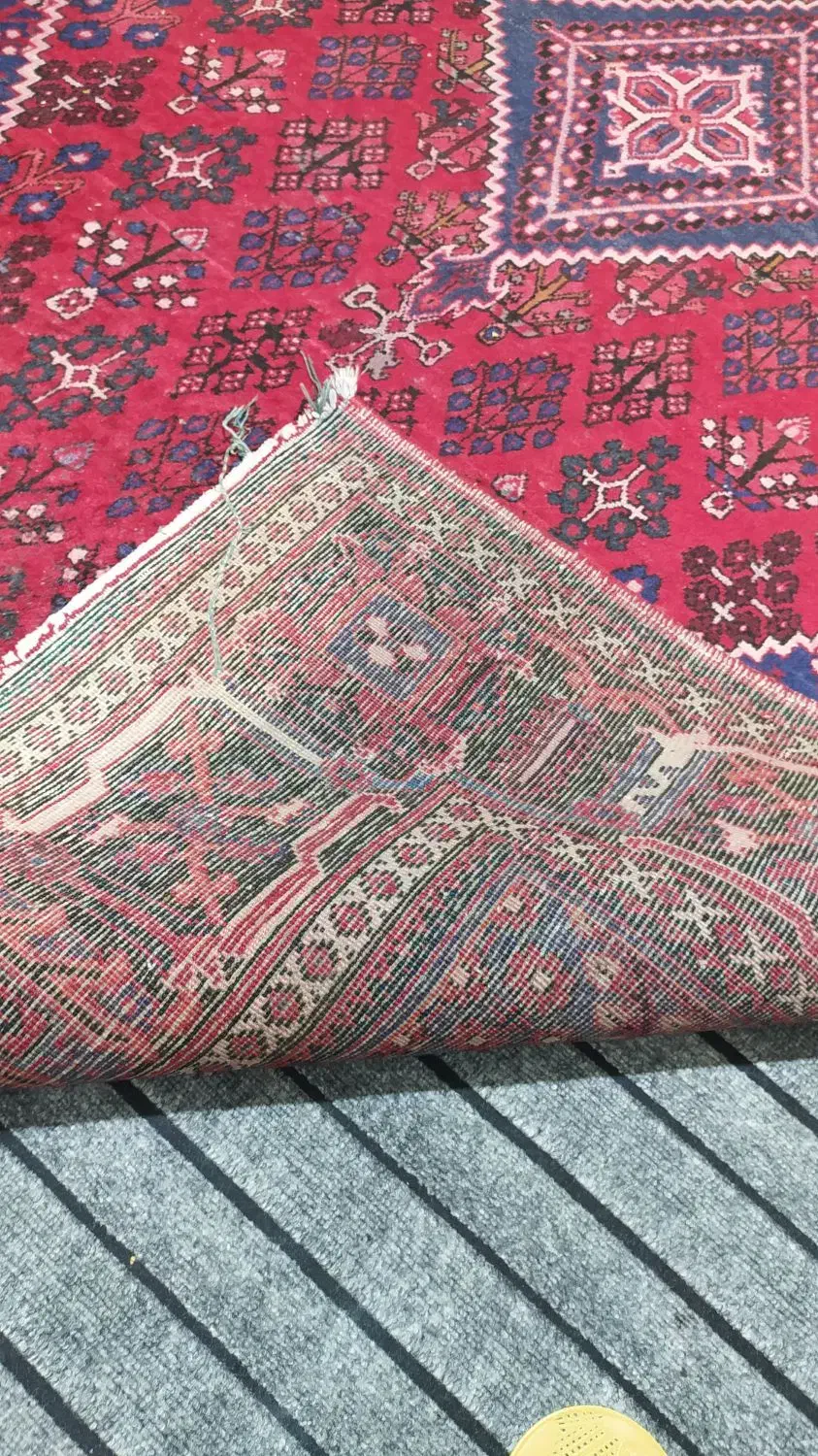 قالی دستباف جوشقانی|فرش|کاشان, طالقانی|دیوار