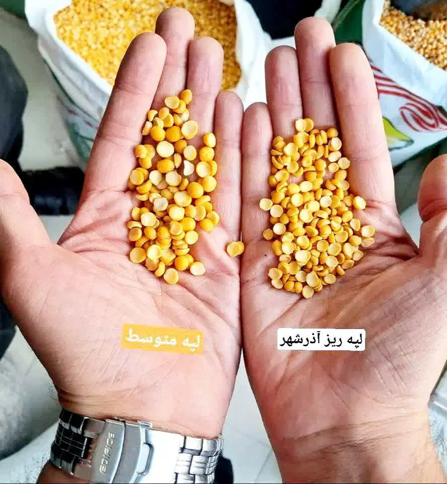 لپه آذر شهر ۱۷۹/۰۰۰  با ضمانت               زود پز|خوردنی و آشامیدنی|قم, ولیعصر|دیوار