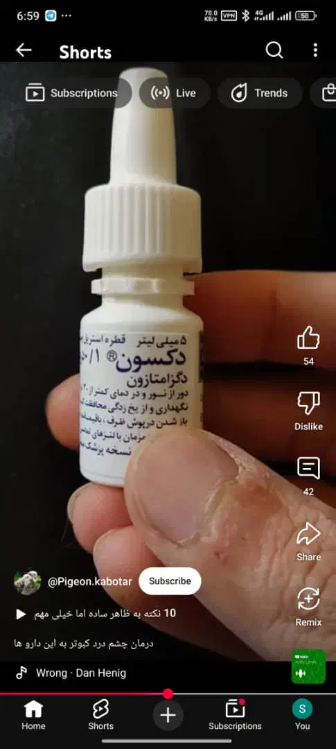 راهنمایی|فعالیت داوطلبانه|شیراز, دارالرحمه|دیوار