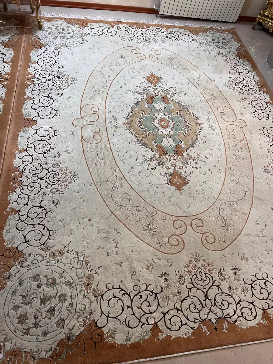 فرش|فرش|مشهد, دانشجو|دیوار