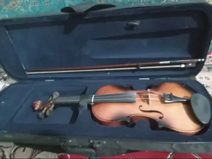 ویالون در حد نو|ویولن|گرگان, |دیوار