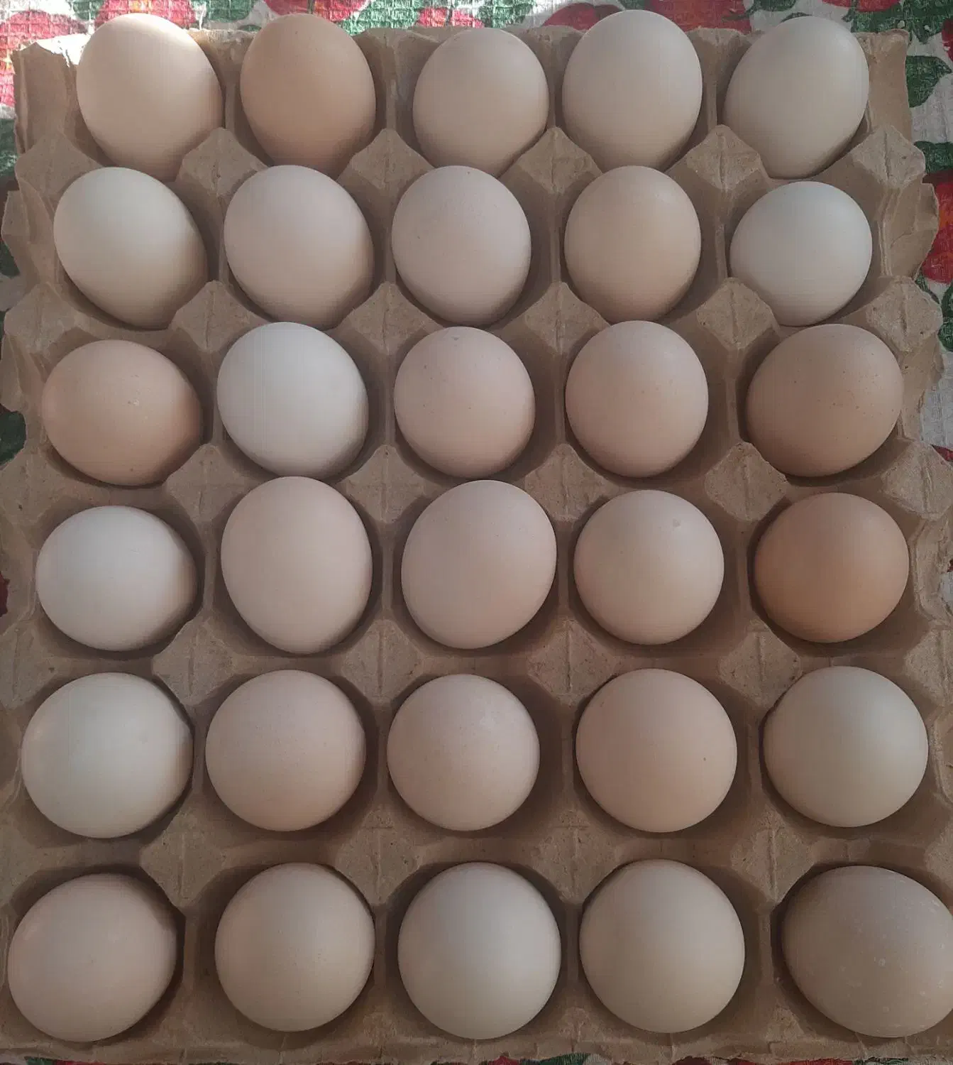 تخم مرغ رسمی|خوردنی و آشامیدنی|اسلام‌شهر, شهرک توحید|دیوار