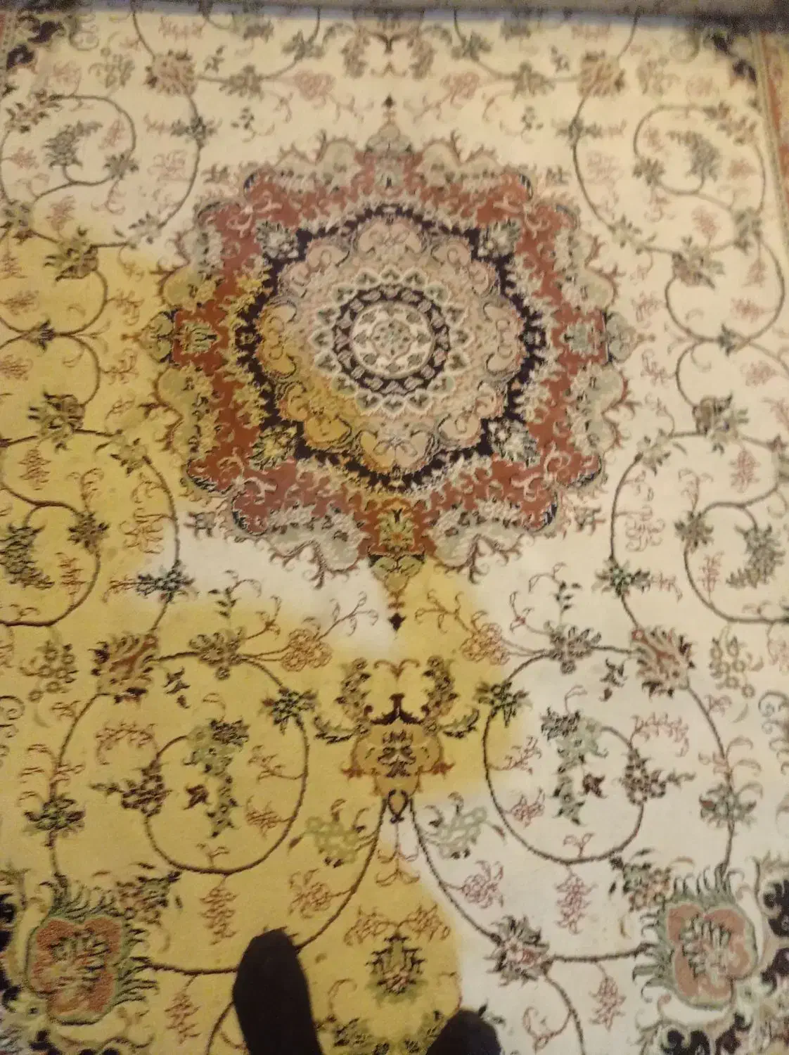 دانه ای۲۲۰۰۰۰۰میلیون دویست هزارتومان|فرش|مشهد, رضاییه|دیوار