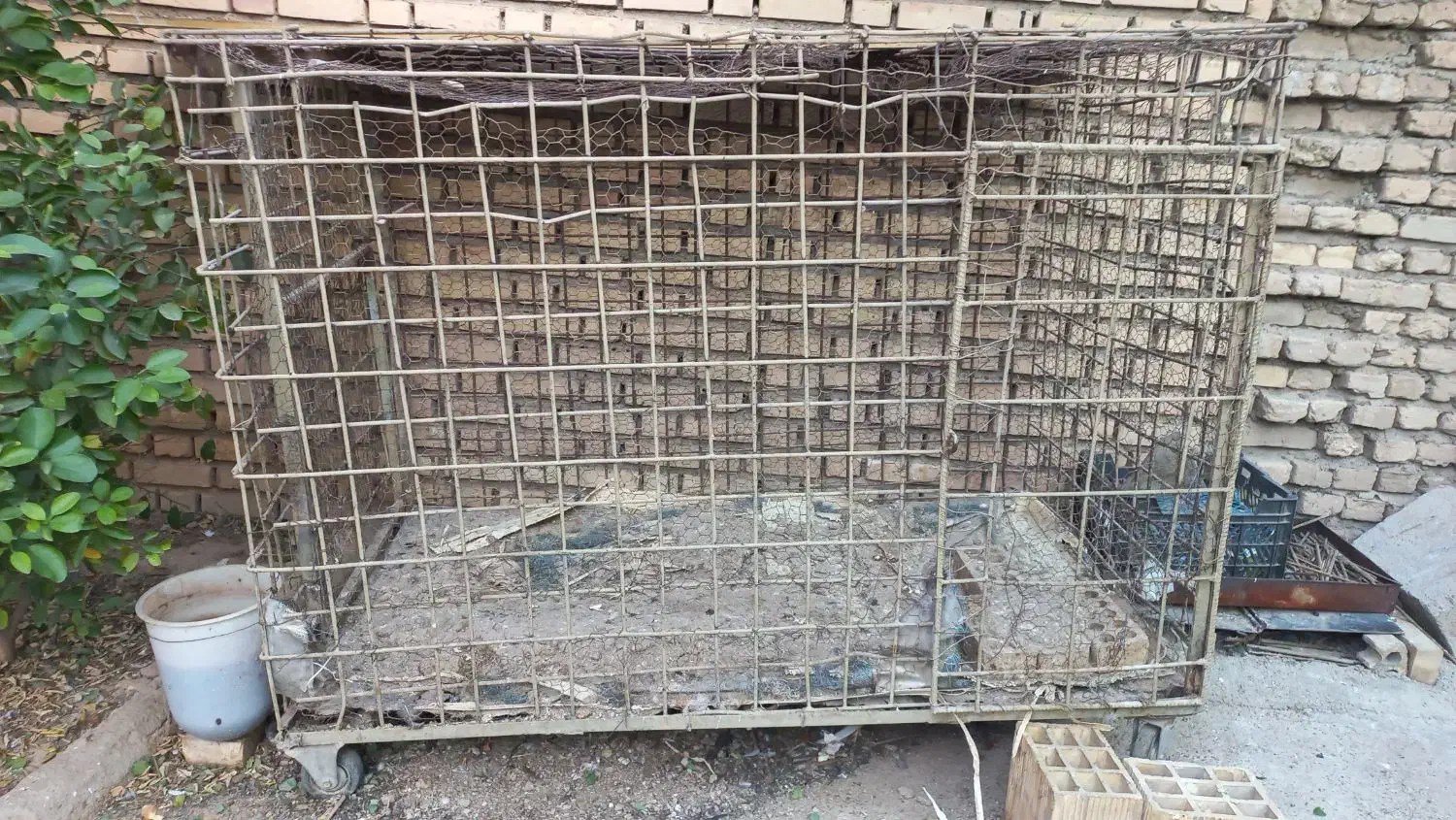 قفس آهنی بزرگ|لوازم جانبی حیوانات|اندیمشک, |دیوار