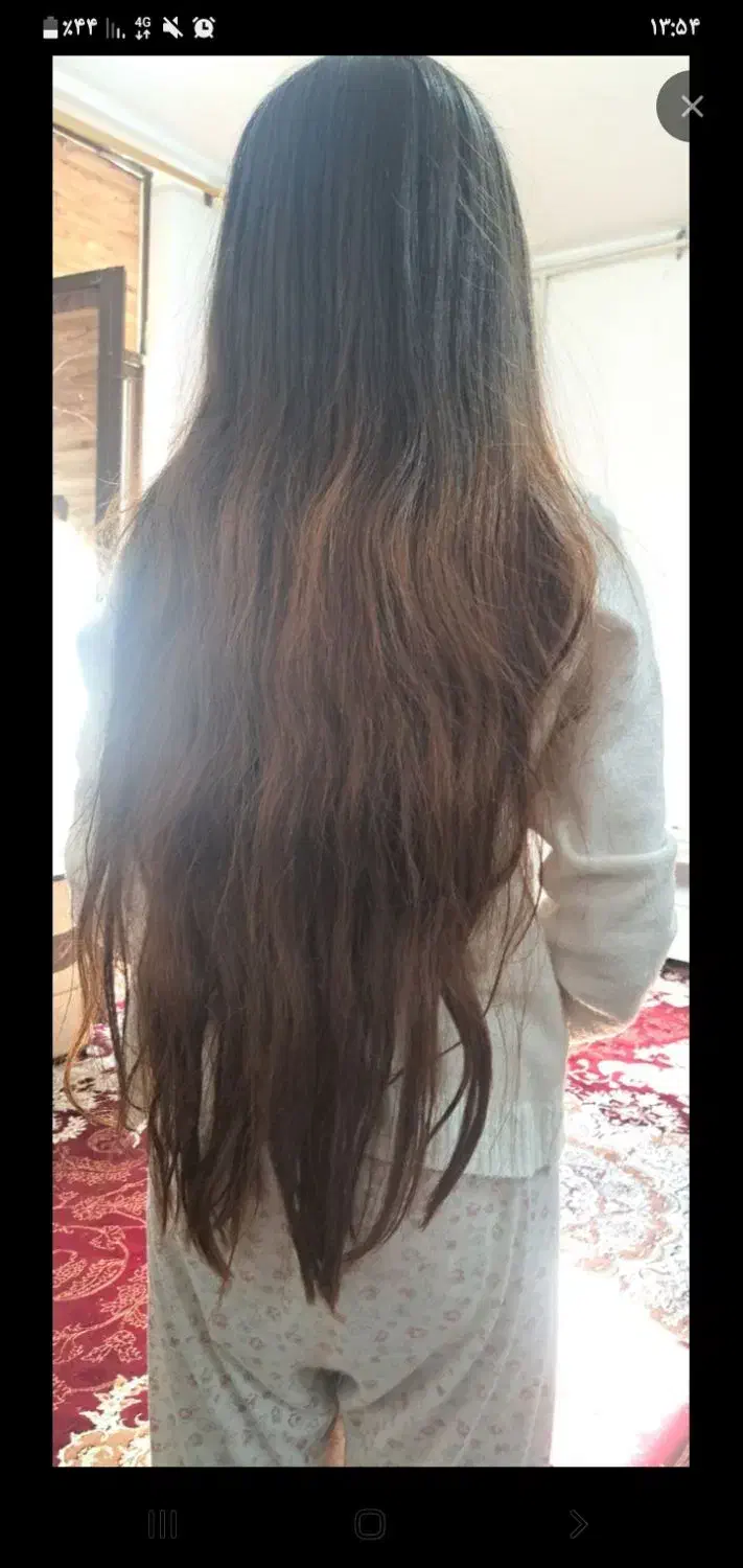 موی شما قیمت باور نکردنی بفروشید|آرایشی، بهداشتی، درمانی|شوشتر, |دیوار