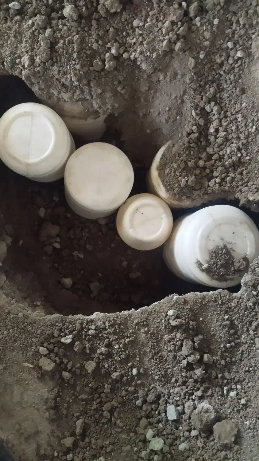 پنیر زیر خاکی گاو|خوردنی و آشامیدنی|نوشین شهر, |دیوار