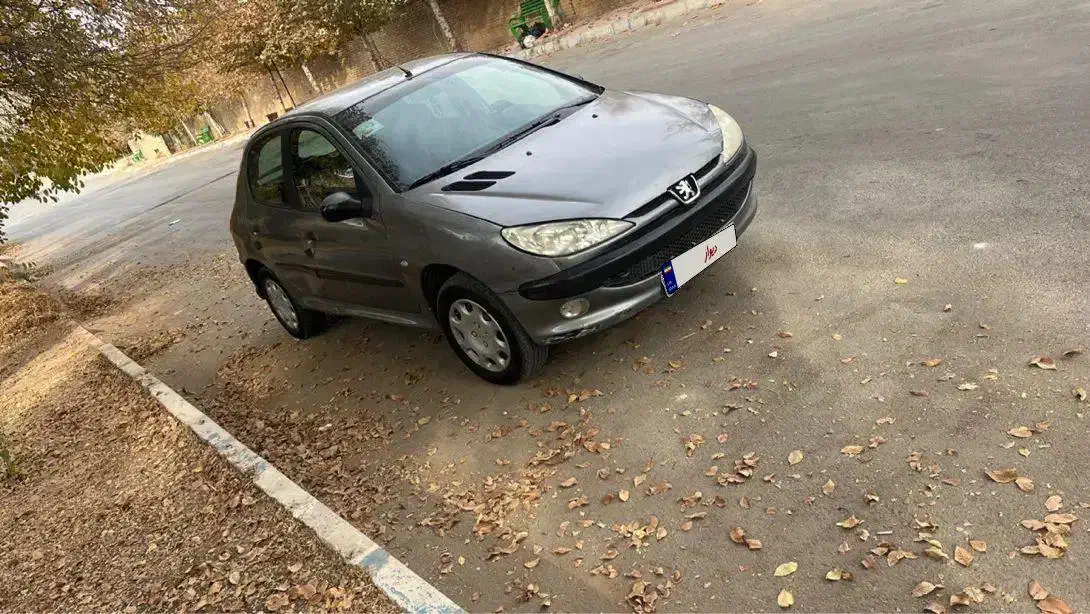 ۲۰۶مدل۸۹|خودرو سواری و وانت|شیراز, کاراندیش|دیوار