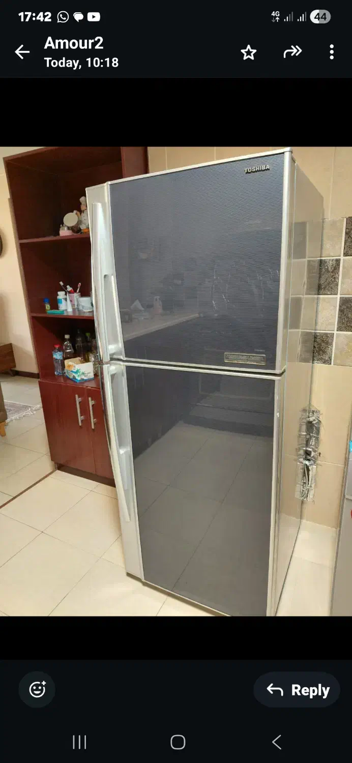 یخچال toshiba|یخچال و فریزر|شیراز, ملاصدرا|دیوار